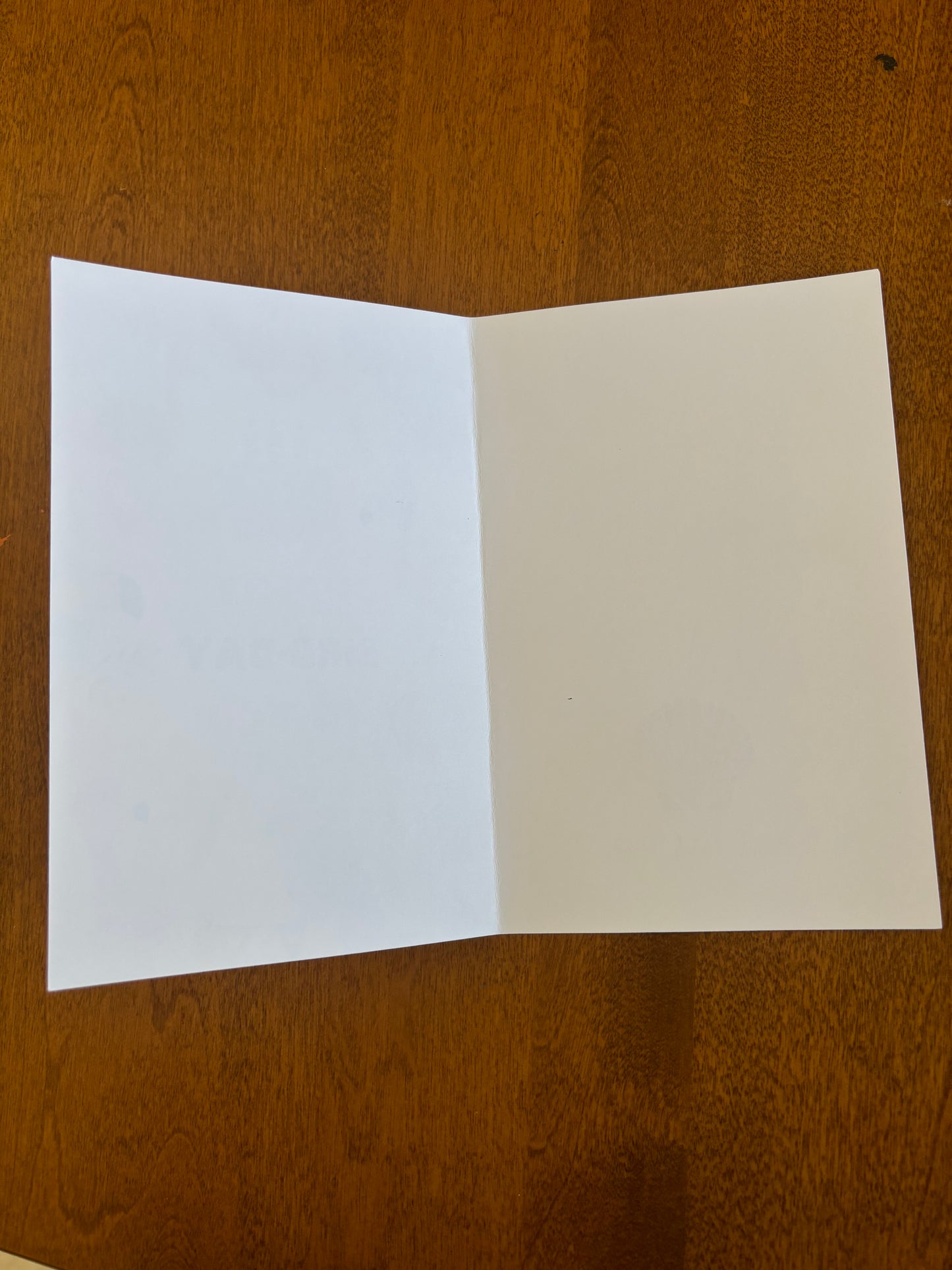 Happy Birthday card Bird day